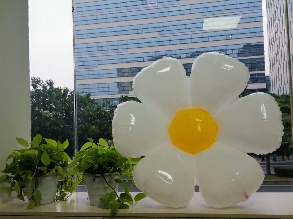 Шар (43''/109 см) Цветок, Ромашка, Белый, 1 шт.