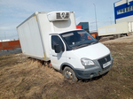 GAZ GAZELLE BUSINESS Изотермический/рефрижератор 3009А3 (Рефрижератор, Бензиновый, 2,7 л, 107 л.с.)