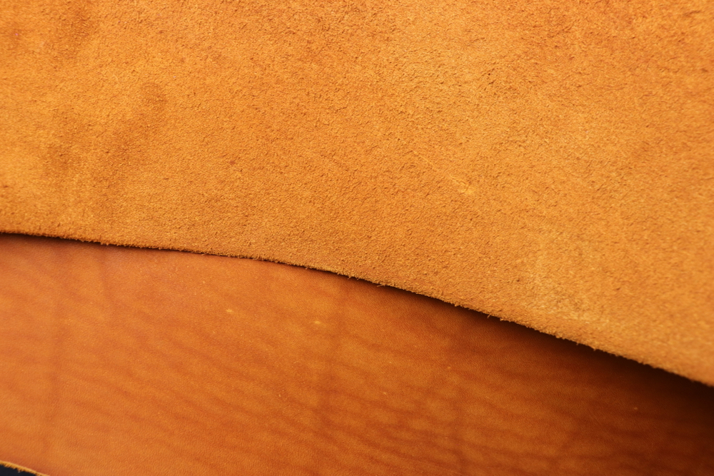 2+ Пола рыжая