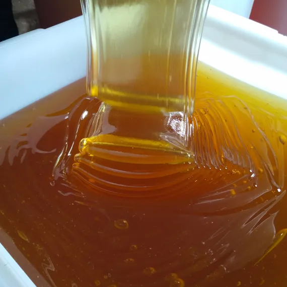 Mountain honey (Soloneshnoe) 1 kg