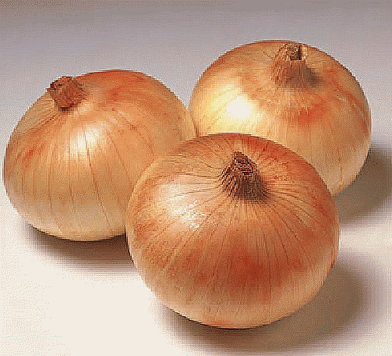 Сеншуй йеллоу F1 семена лука репчатого (Takii / Таки) – фото 2