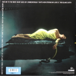 Bryan Ferry / The Bride Stripped Bare (LP)