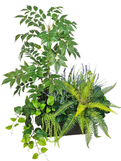 Рябина с папоротником 80см в длинном кашпо