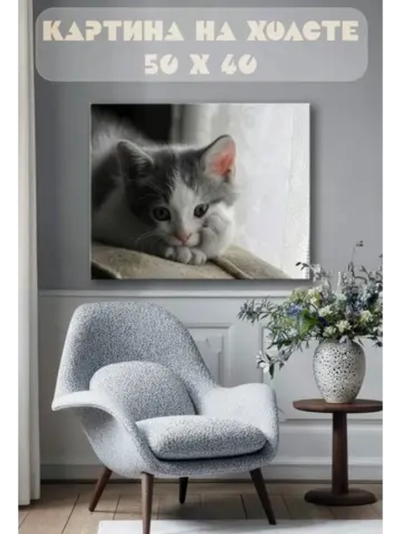 Картина на стену 40 X 50 Котенок
