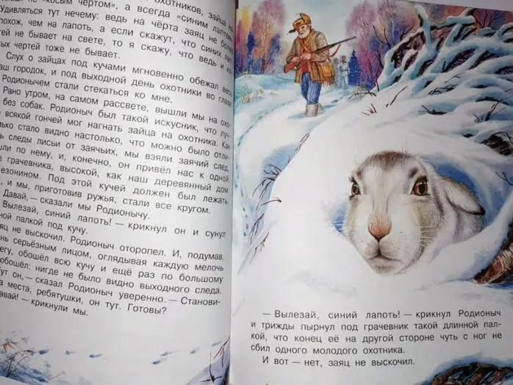 Книга рассказов и сказок о природе. Бианки, Пришвин и др. Подарочное издание