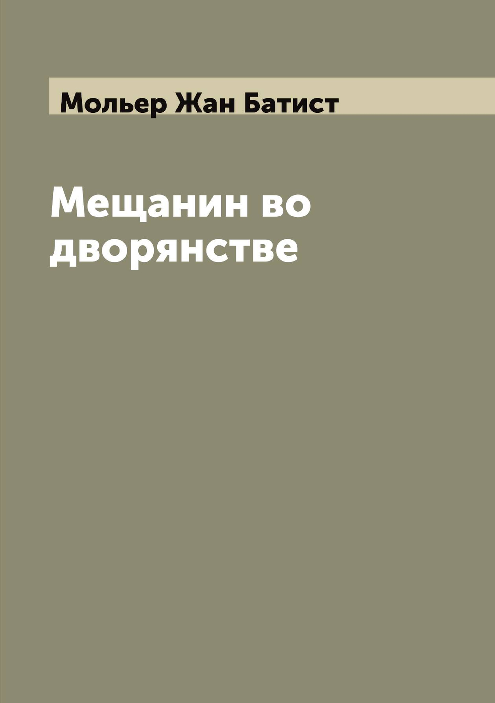 Мещанин во дворянстве | Мольер Жан Батист