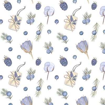 Голубые ягоды и травы на белом / Blue berries and herbs on white