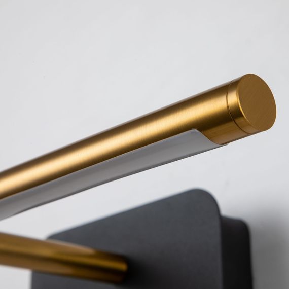 Подсветка для картин Favourite Insight 4016-1W