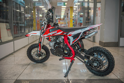 Питбайк Progasi KIDS POWER 110 (10/12) Красный