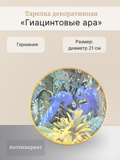 Тарелка декоративная "Гиацинтовые ара"  Lenox
