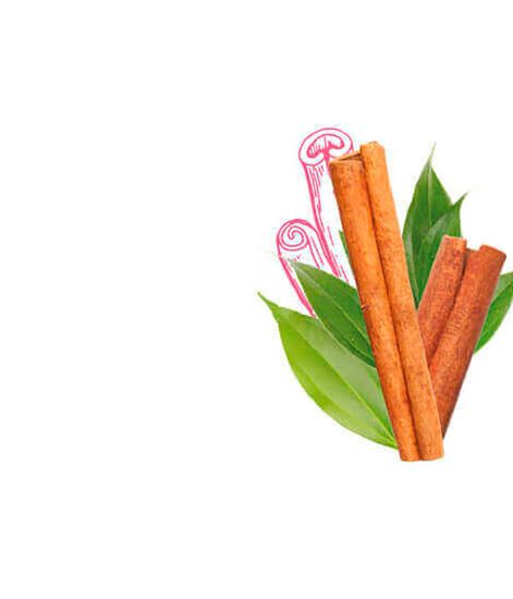 Праздничный дух, смесь эфирных масел для ультразвукового диффузора, Pranarom