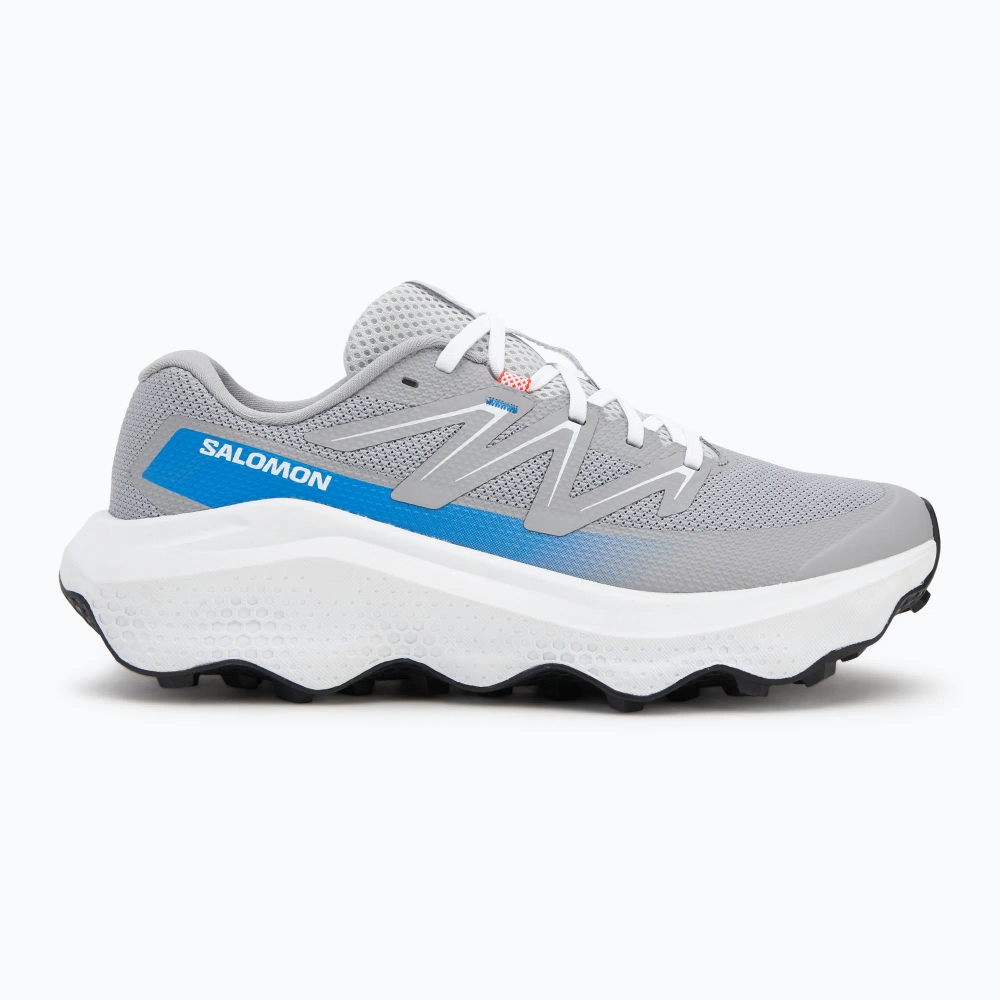 Кроссовки для бега Salomon Ultra Flow 2 alloy/white/french blue