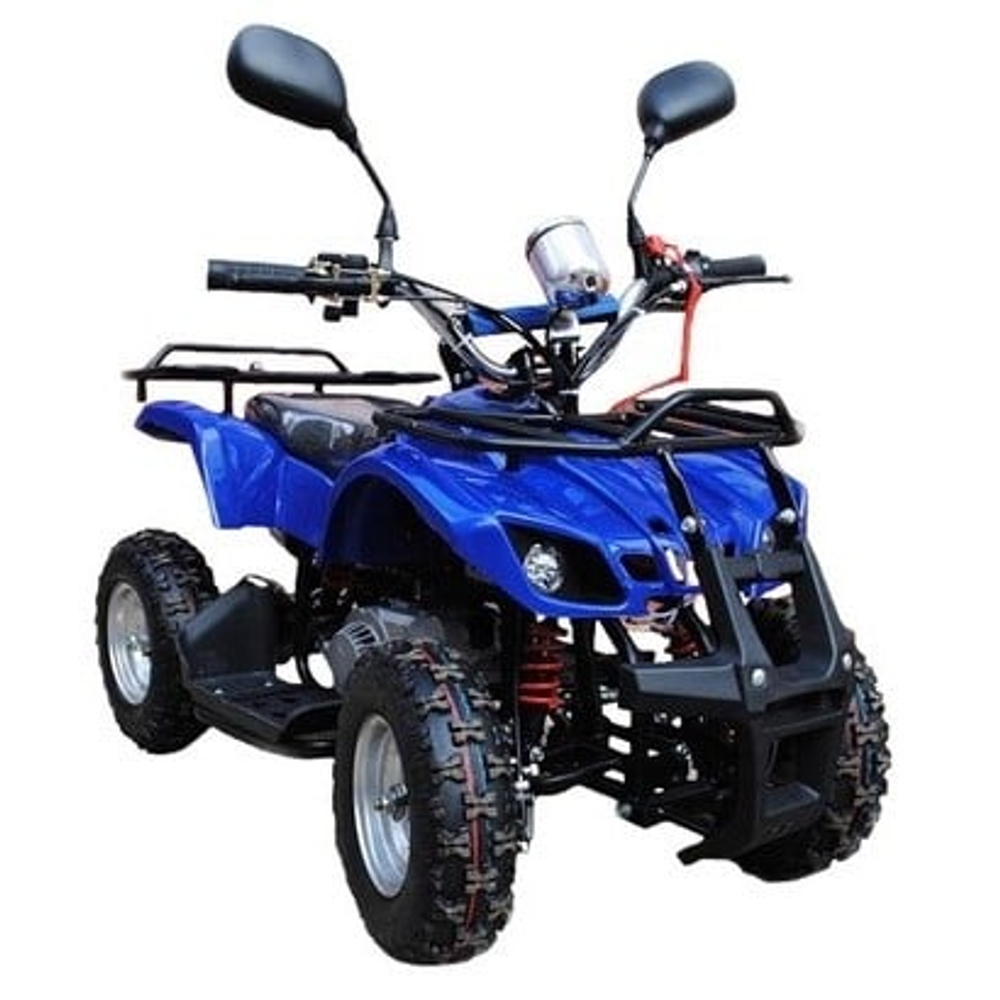Квадроцикл RAPTOR Max Pro 49cc (2024)