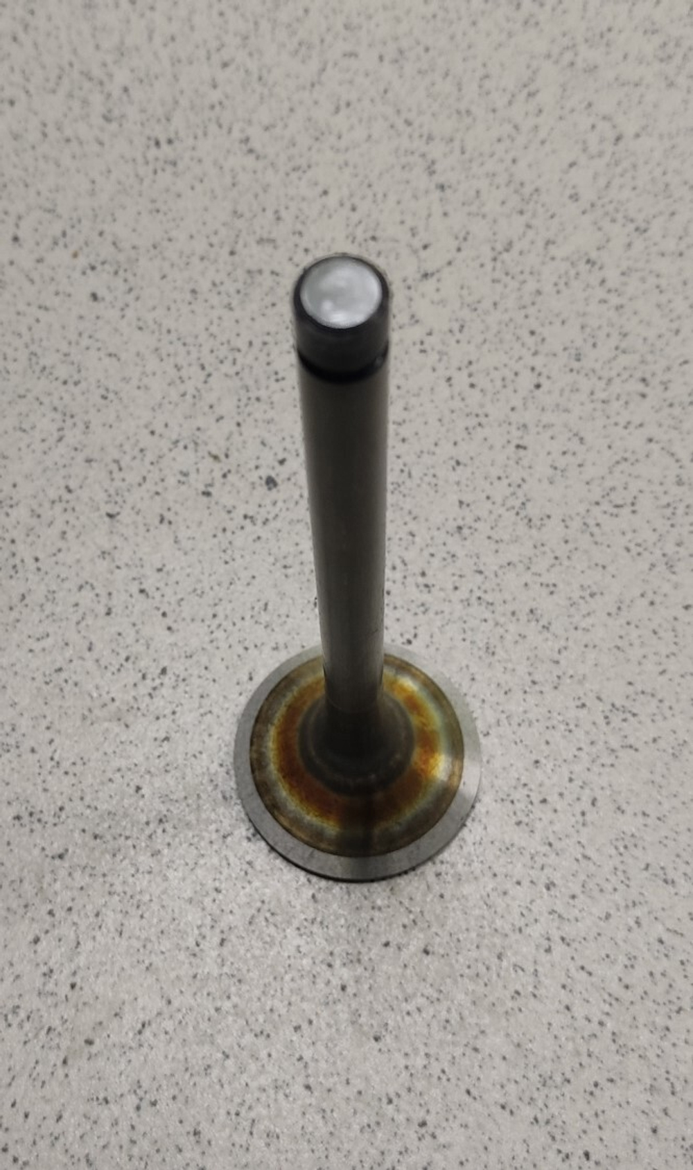 Клапан выпускной 840.1007012-20