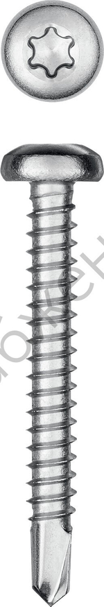 KRAFTOOL DS-P 38 х 4.8 мм, А2, сверло, полукр. головка, ТХ25, саморез нержавеющий, 200 шт (300931-48-038)