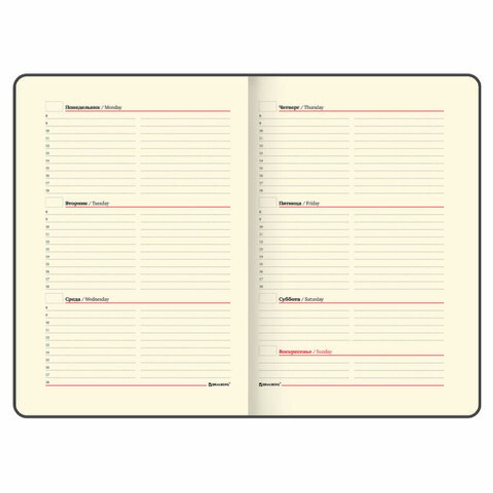 Еженедельник недатированный А5, 145х215 мм, BRAUBERG "Iguana", под кожу, 64 л., красный, 114477