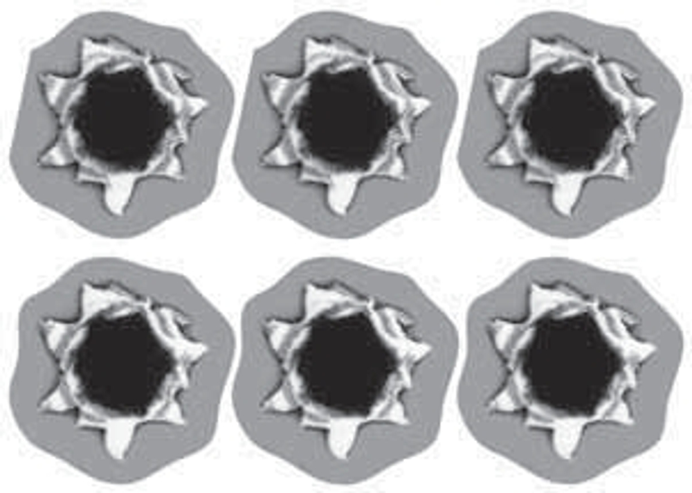 Наклейка "Пулевое отверстие №2" голографическая 8*12см (цвет черный,серебр. фон) (кт 6шт) лист 02165