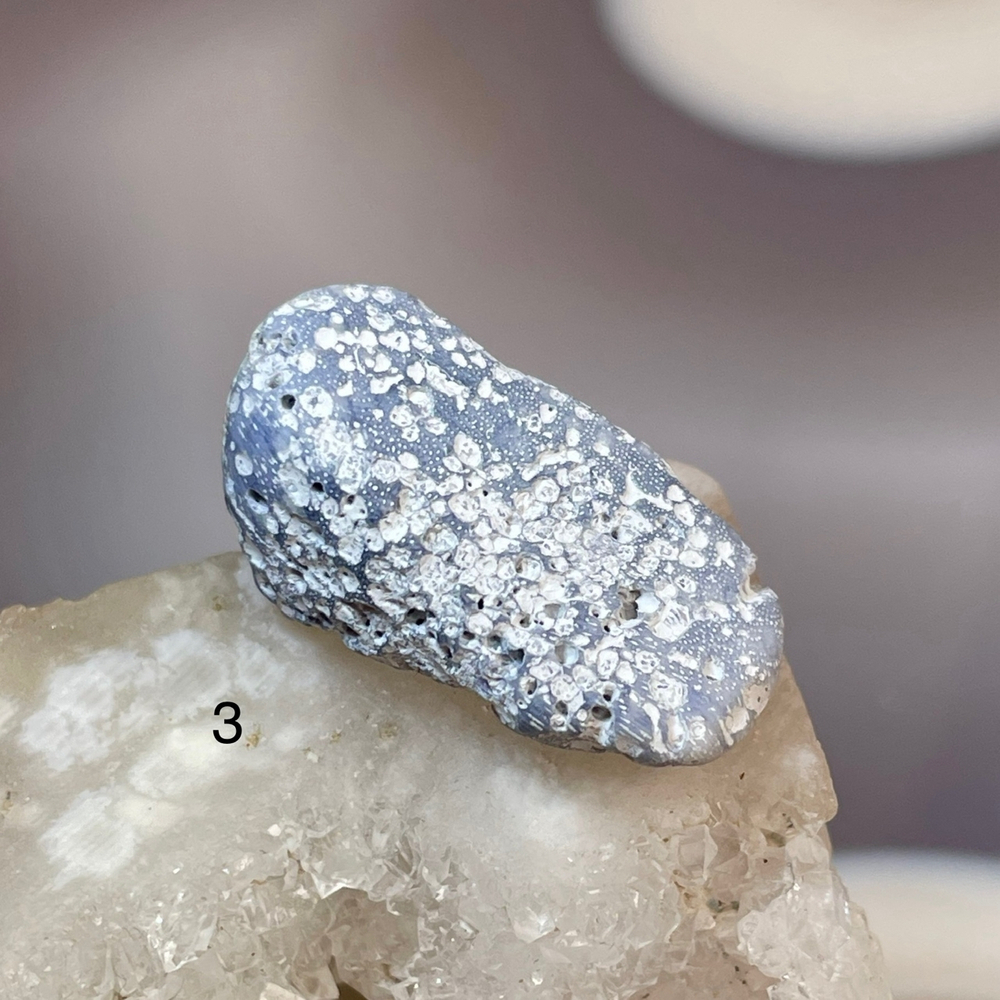 62220 Коралл голубой Галтовка 23-30мм--40