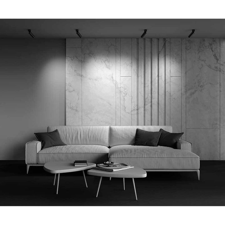 Светодиодный спот Maytoni Technical Focus LED C055CL-L12W4K-W-BS