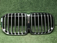 Решетка радиатора BMW X7 G07 (2019-2022)