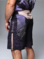 Шорты мма спортивные Assassin's для единоборств