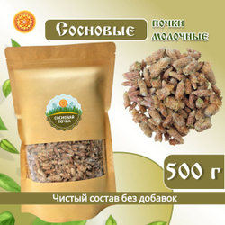 Сосновая почка.