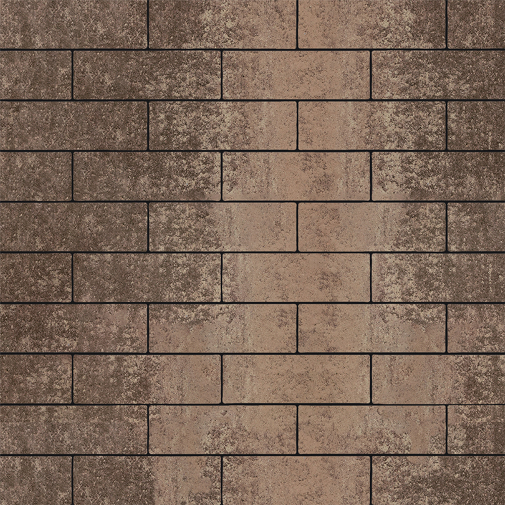 Тротуарная плитка ПРЯМОУГОЛЬНИК 300х100 мм - Листопад гладкий Хаски