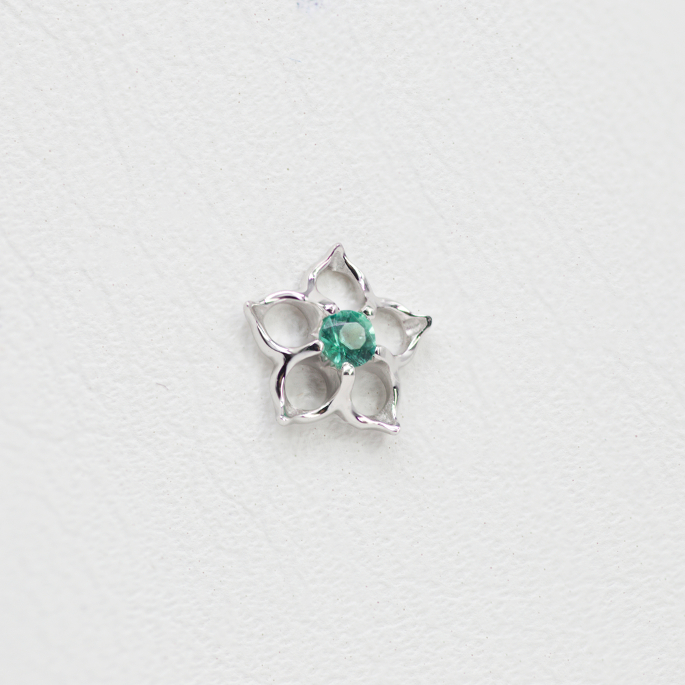 Pinto tops with Precious gem