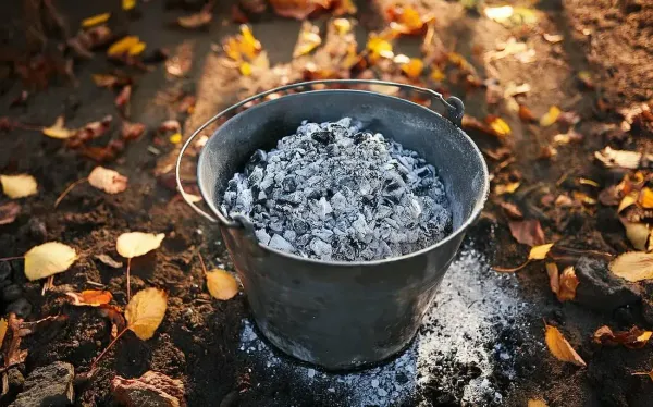 Запасаем золу и луковую шелуху: как сохранить натуральные удобрения до сезона Запасаем золу и луковую шелуху: как сохранить натуральные удобрения до сезона