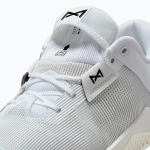 Штангетки Nike Metcon 10 white/platinum tint/black