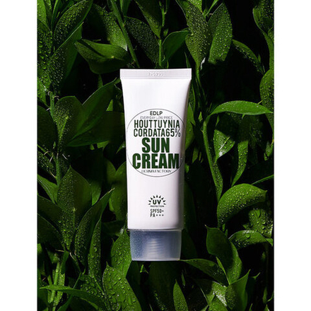 Derma Factory Крем солнцезащитный с экстрактом хауттюйнии - Houttuynia cordata 65% sun cream, 50мл