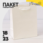 Пакет подарочный 18х23х10см (Белый, Крафт)