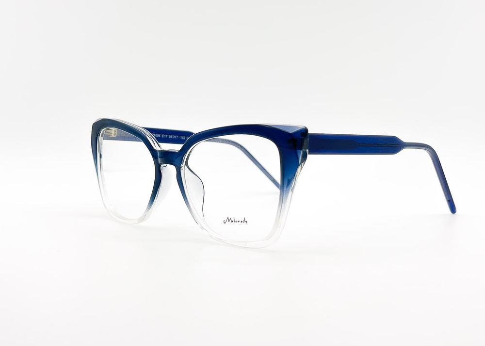 Изг. оправы Melorsch Z1004 C17
