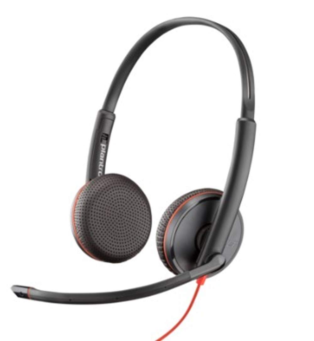 Наушники Poly BW 3225 USB-C HS +USB- C/A (Bulk) (8X229A6)