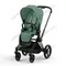 Прогулочная коляска Cybex Priam IV Leaf Green шасси Matt Black