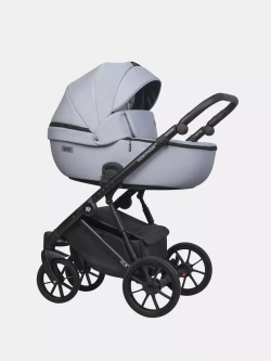 Коляска MONTANA ECCO (2 в 1) (RIKO BASIC)