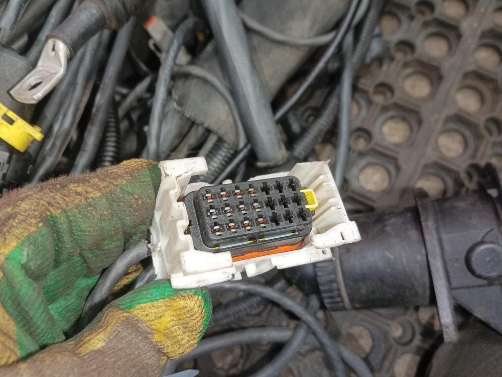 Проводка шасси основная 2019г