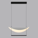 Подвесной светильник Odeon Light NEXT 7015/20L