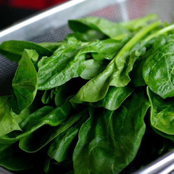 СОЮЗ F1 семена шпината (Sakata | Alexagro)