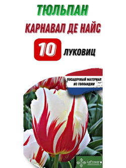 Тюльпан Луковица, Карнавал де Найс, 10шт