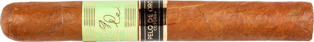 Pelo de Oro Cotorra Verde