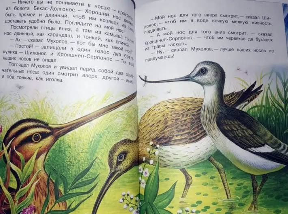 Книга рассказов и сказок о природе. Бианки, Пришвин и др. Подарочное издание