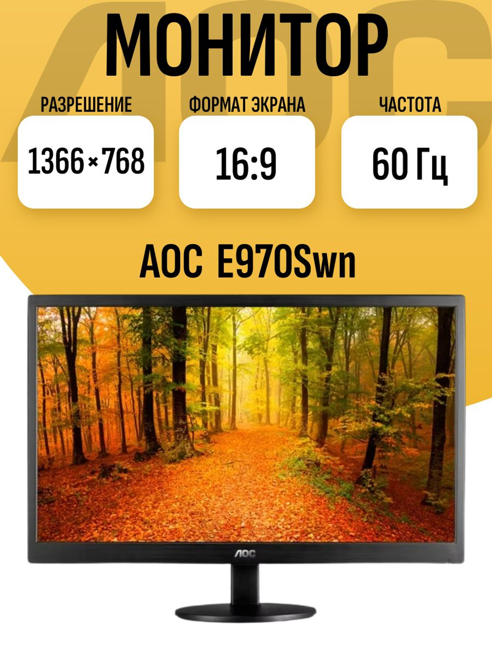 Монитор AOC E970Swn