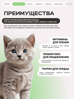 Корм сухой для котят породы Британская короткошёрстная, с ягненком, 2 кг, QUATTRO