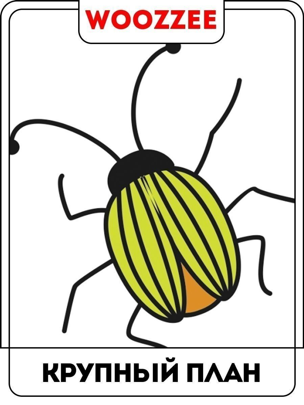 Наклейка декоративная А3 "Цветы, бабочки, букашки"