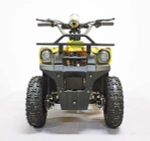 Электроквадроцикл Green Camel Гоби K40 (36V 800W R6 Цепь) быстросъем