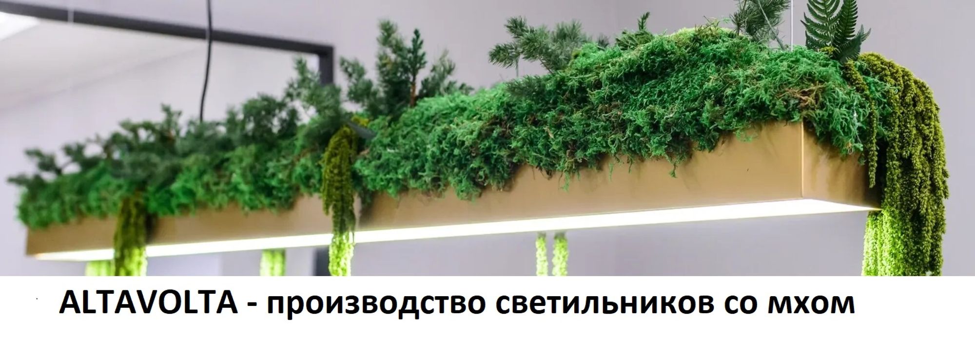 Слайды Блок 9