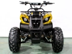 Электроквадроцикл Green Camel Атакама T220 (48V 1000W R8 Дифференциал)