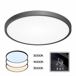 Citilux Бейсик CL738321V Светильник накладной Чёрный