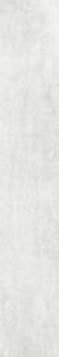 Grasaro Staten Beige Grey 20x120